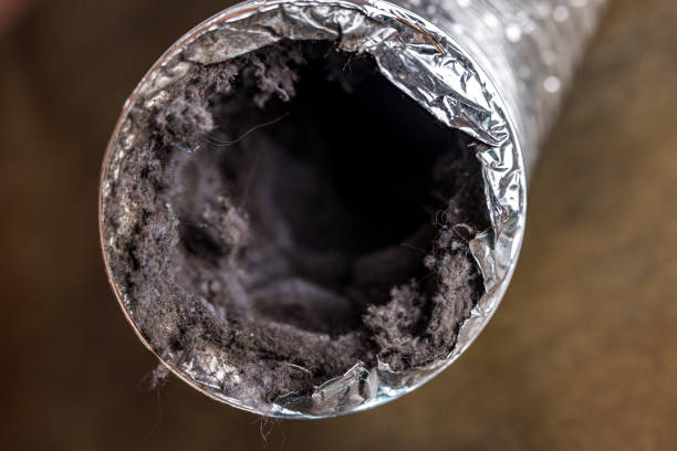 Best Local Air Duct Cleaning Services  in West Haven, CT