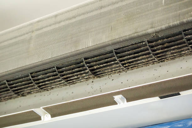 Best Affordable Air Duct Cleaning  in West Haven, CT