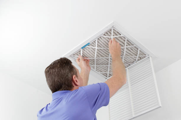 Best Air Duct Mold Removal  in West Haven, CT